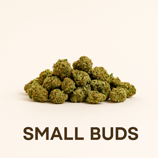 Tropical Mix Small Buds